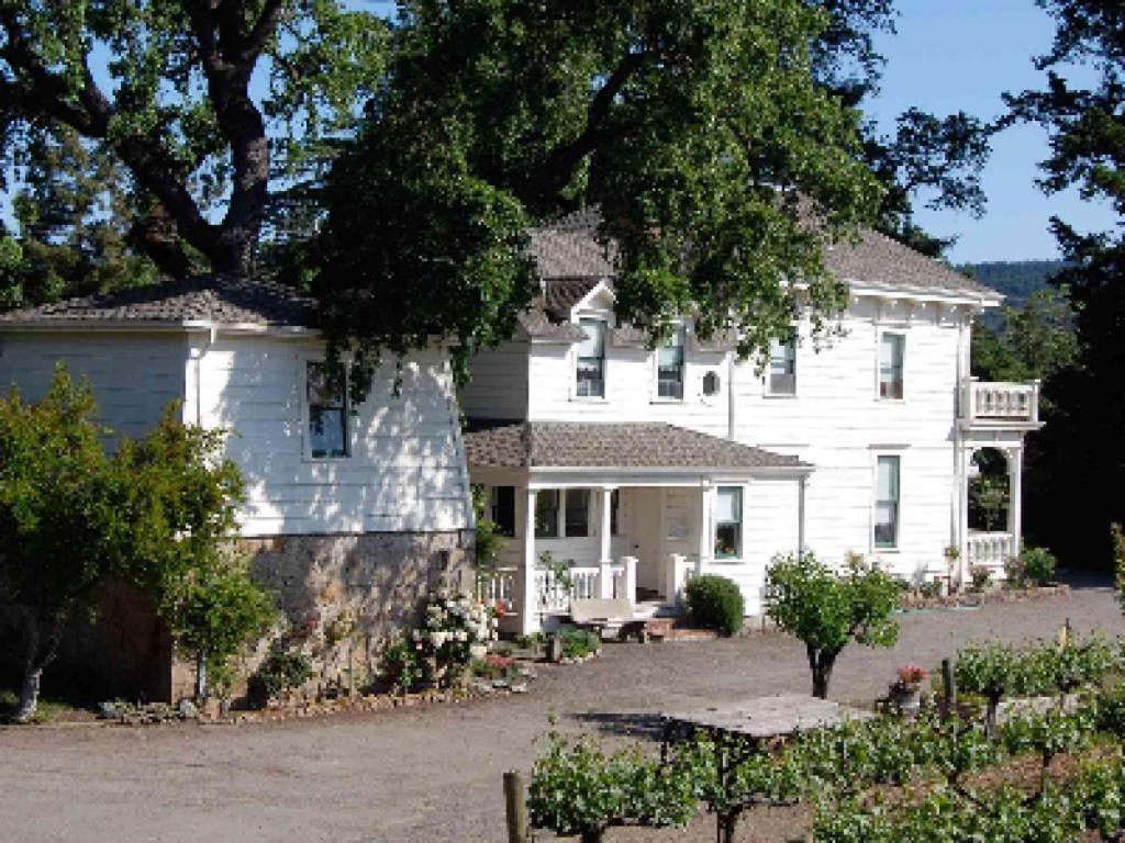 Inn At Salvestrin Сент-Хелина Экстерьер фото